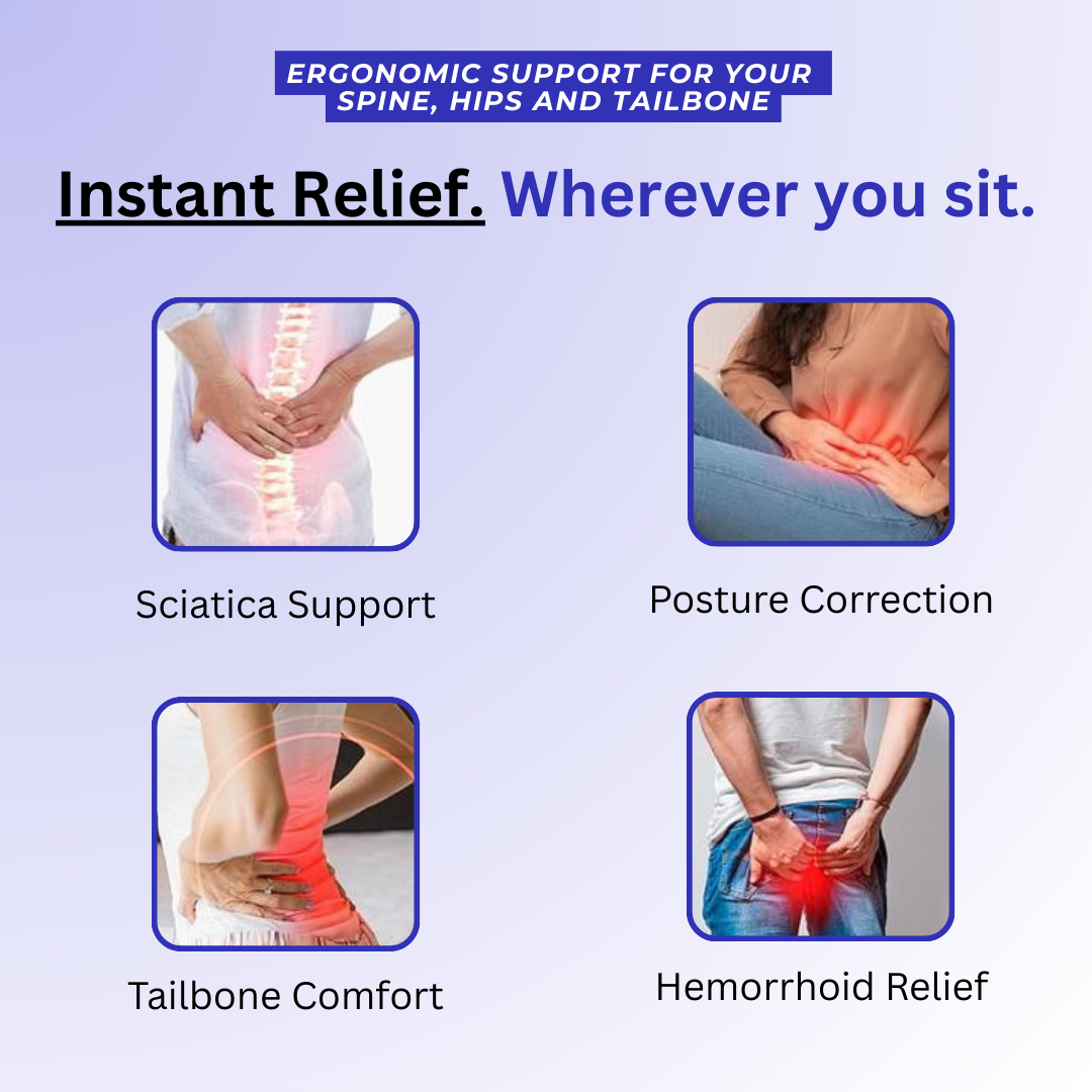 Vertabro™ Comfort + Seat Cushion
