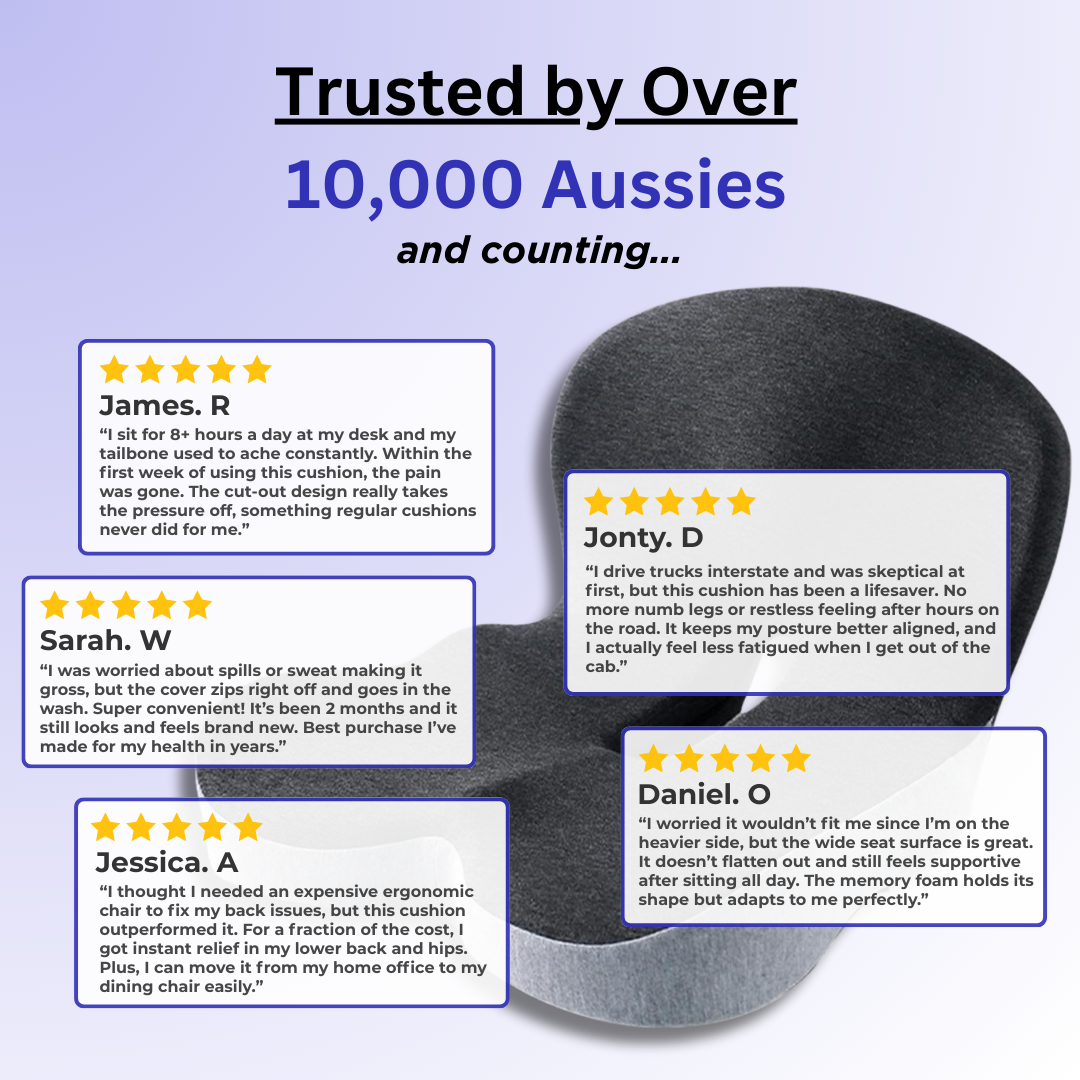 Vertabro™ Comfort + Seat Cushion