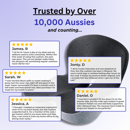 Vertabro™ Comfort + Seat Cushion